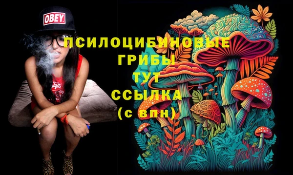 стаф Волоколамск