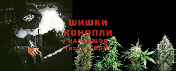 стаф Волоколамск