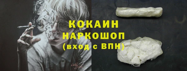 стаф Волоколамск