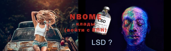 стаф Володарск