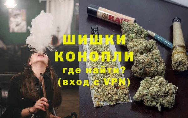 стаф Володарск