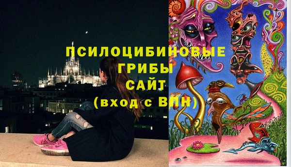 стаф Волоколамск
