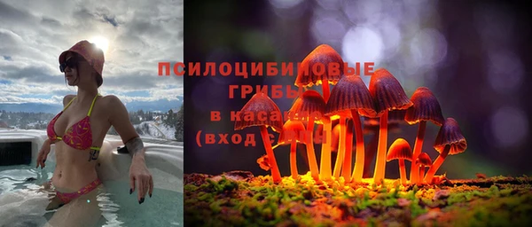 стаф Волоколамск
